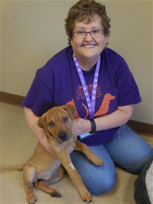 Marcia Holsinger, PAWS Volunteer of the Month