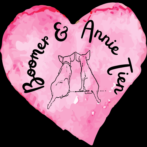 Boomer and Annie Tien Logo