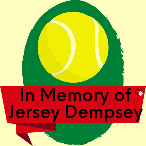 In Memory of Jersey Logo