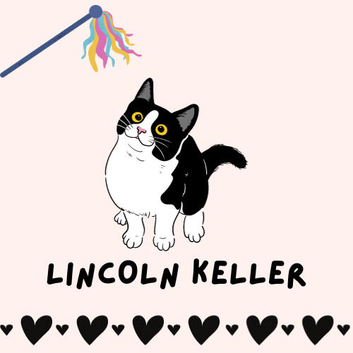 Lincoln Keller logo