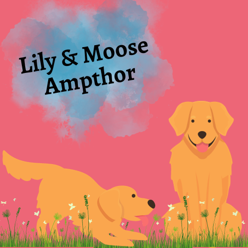 Lily & Moose Ampthor Logo 