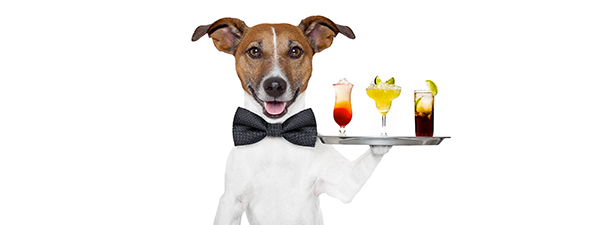 Paws for Cocktails Feb