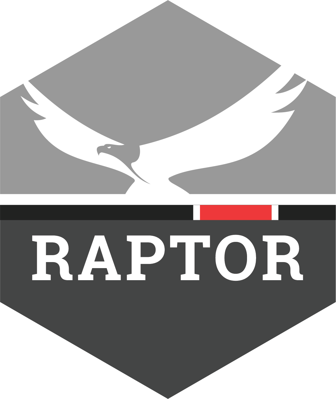 Raptor Acadamy Logo