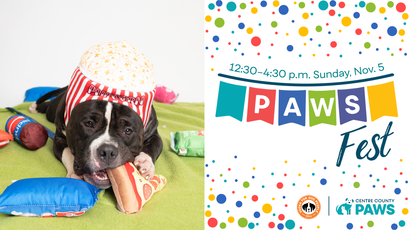 Dog with treat and text displaying PAWS Fest